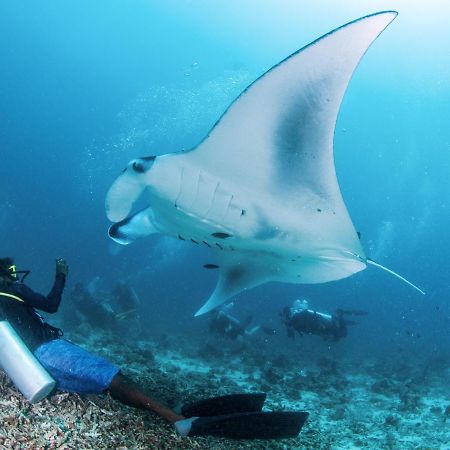 Отель South Ari Dive Center Дангети Экстерьер фото