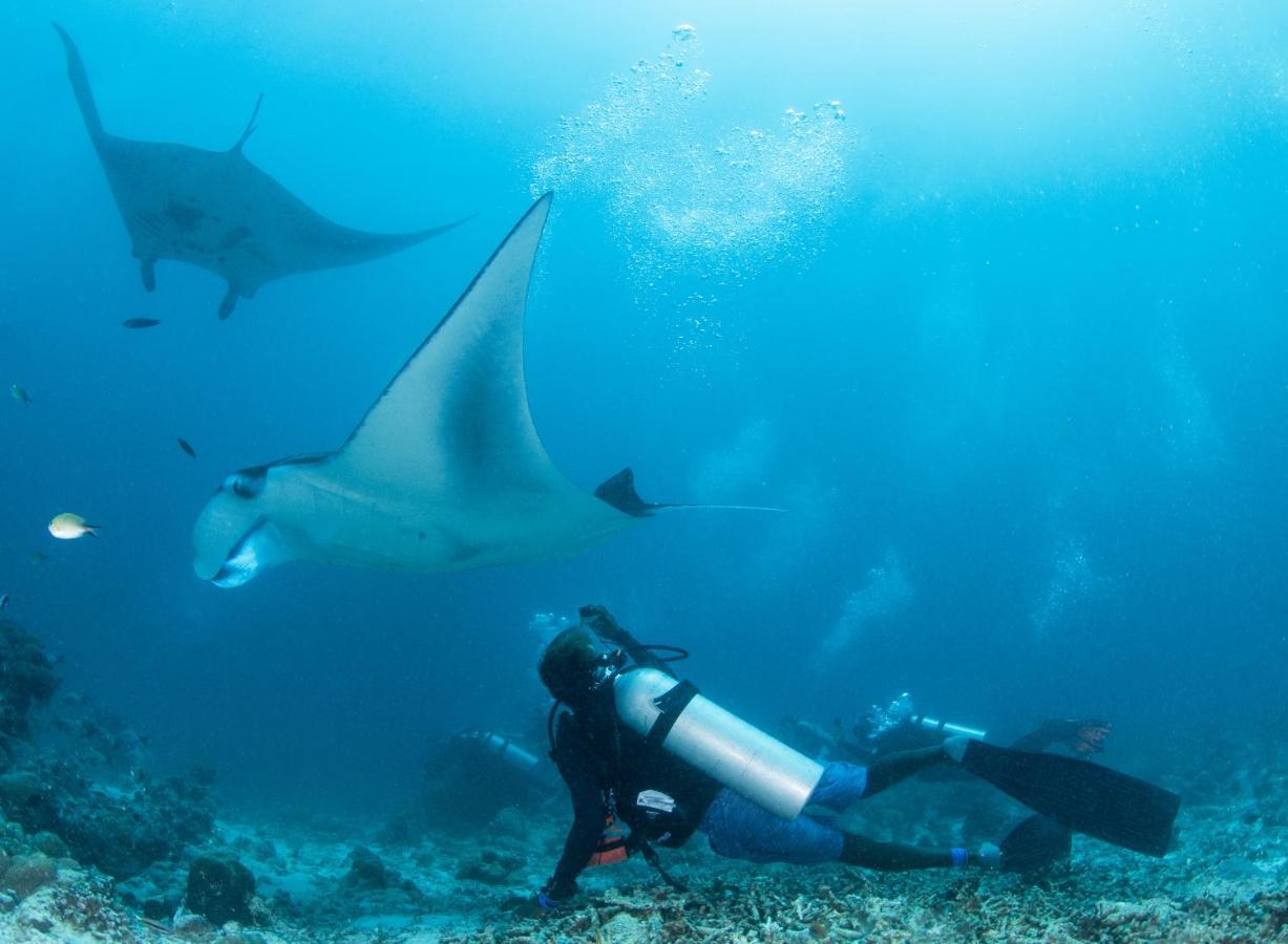 Отель South Ari Dive Center Дангети Экстерьер фото