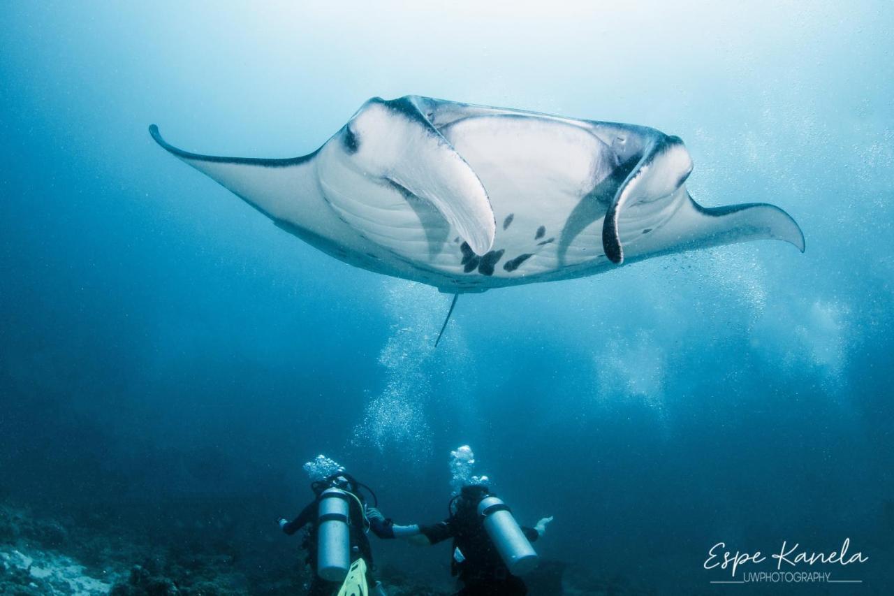 Отель South Ari Dive Center Дангети Экстерьер фото