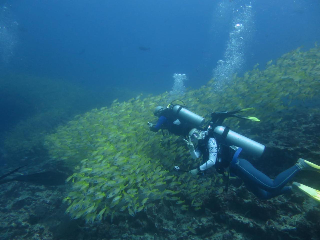 Отель South Ari Dive Center Дангети Экстерьер фото